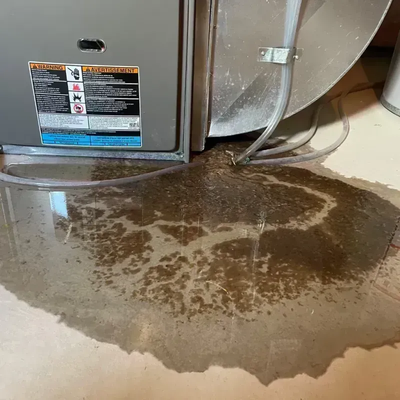 Appliance Leak Cleanup in McDowell County, WV